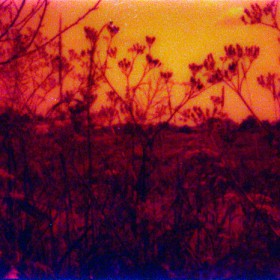 Red landscapes